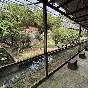 Walk-through Aviary #2