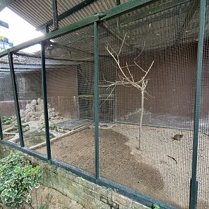 Meerkat Exhibit