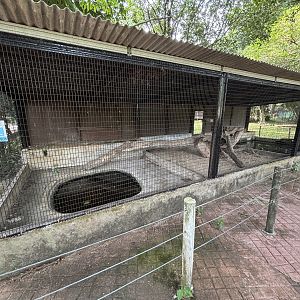 Reticulated Python Exhibit