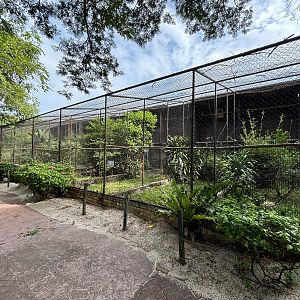 Assorted Owl Aviaries #1