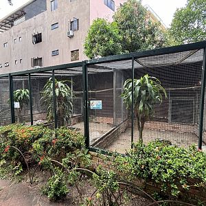 Assorted Owl Aviaries #2