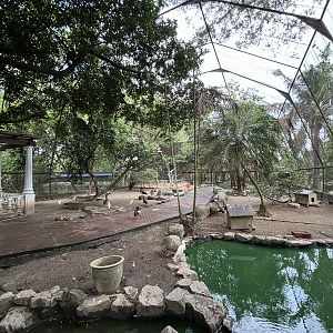 Walk-through Aviary #3