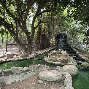 Walk-through Aviary #3