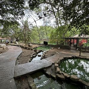 Walk-through Aviary #3