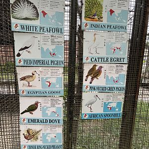 Walk-through Aviary #3 - sign