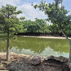 Safari Drive - Hippo exhibit