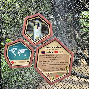 Green Monkey sign