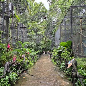 Lemuria - Monkey exhibits