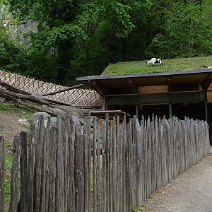 Wirtschaftshof (Barnyard area)