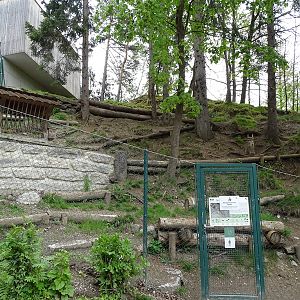 Former roe deer enclosure