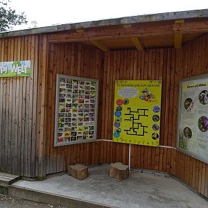 Educational station about honey bees