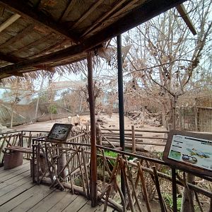 Tropical aviary - Buin zoo