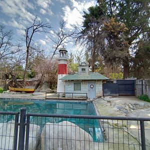South american sea lion exhibit - Buin zoo