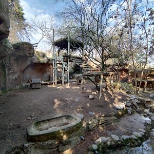 Former sun bear exhibit - Buin zoo