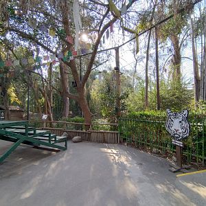 Tiger exhibit - Buin zoo