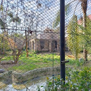 Tiger exhibit - Buin zoo