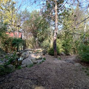 Snow leopard exhibit - Buin zoo