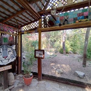 Snow leopard exhibit - Buin zoo