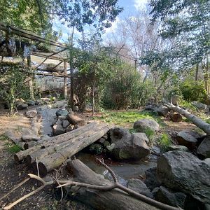 Snow leopard exhibit - Buin zoo