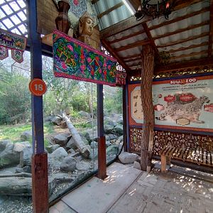 Snow leopard exhibit - Buin zoo