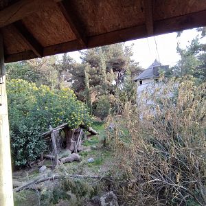 Former gray wolf exhibit - Buin zoo