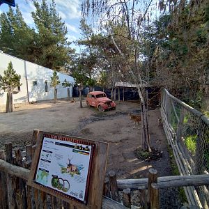 Chital exhibit - Buin zoo