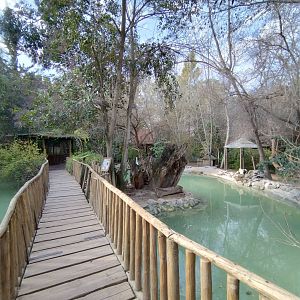 Waterfowl lake - Buin zoo