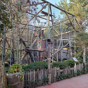 Siamang exhibit - Buin zoo