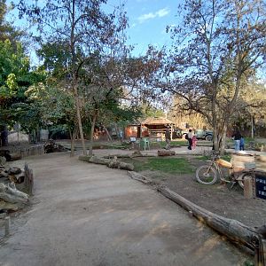 Sendero wallaby - Buin zoo