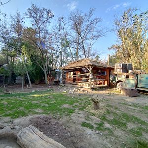Sendero wallaby - Buin zoo