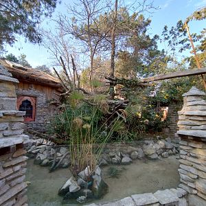Red panda exhibit - Buin zoo