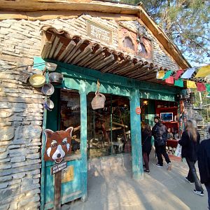 Red panda indoors - Buin zoo