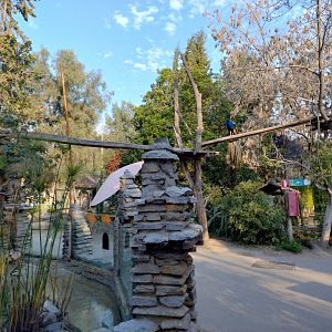 Elevated walkway for red panda - Buin zoo