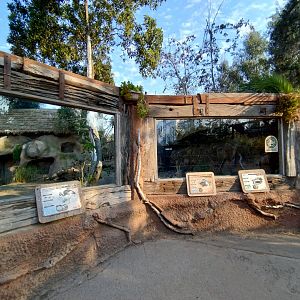 Pygmy hippo exhibit - Buin zoo