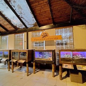 Arthropodarium - Buin zoo