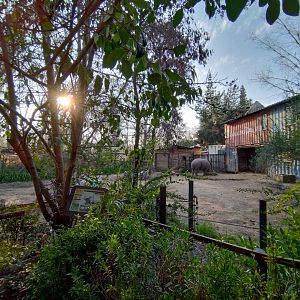 Southern white rhino first exhibit - Buin zoo