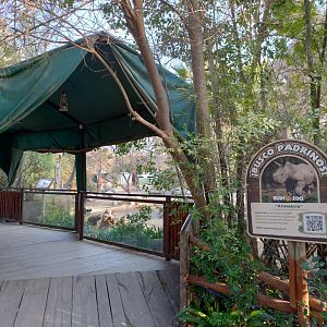 Southern white rhino second exhibit - Buin zoo