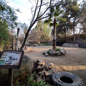 Southern white rhino second exhibit - Buin zoo