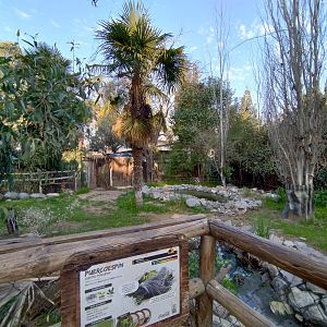 Crested porcupine exhibit - Buin zoo