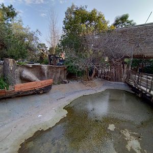 Empty exhibit - Buin zoo