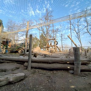 Hamadryas baboon exhibit - Buin zoo