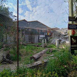 Brown bear exhibit - Buin zoo