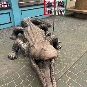 Crocodile Statue