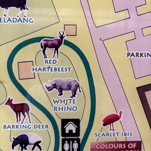 Hartebeest on zoo map