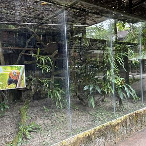 Golden-headed Lion Tamarin Exhibit