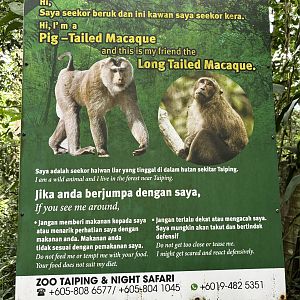 Wild Macaque Sign
