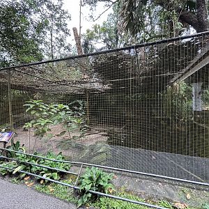 Waterfowl + False Gharial Exhibit #1