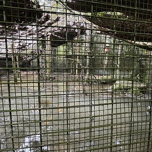 Waterfowl + False Gharial Exhibit #1