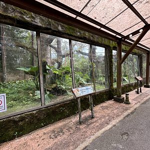 Agile Gibbon Exhibit