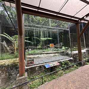 Striped Skunk Exhibit - currently empty